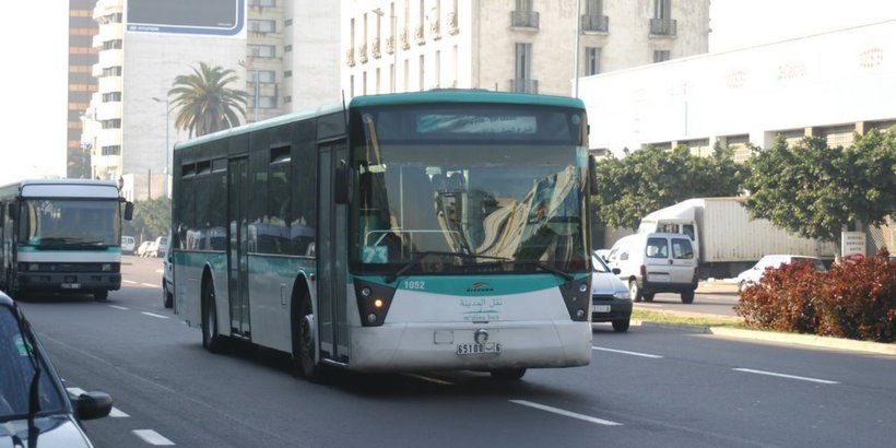 Городские автобусы Энфиды