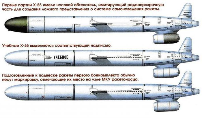 сколько самолетов белый лебедь у России