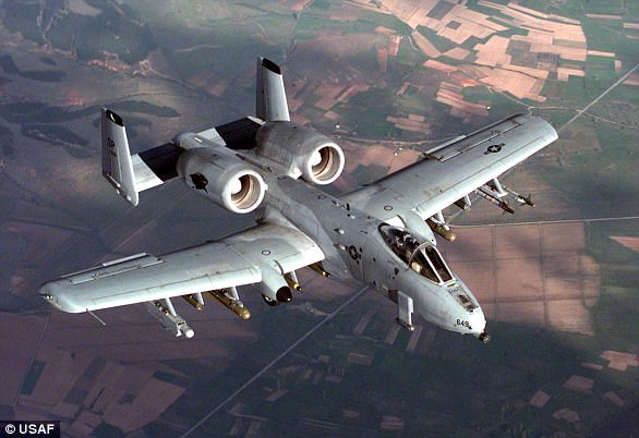 The A-10, often called a warthog, was designed to destroy Soviet tanks and troops on the ground.