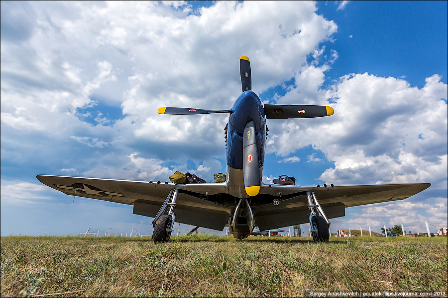 Mustang P-51