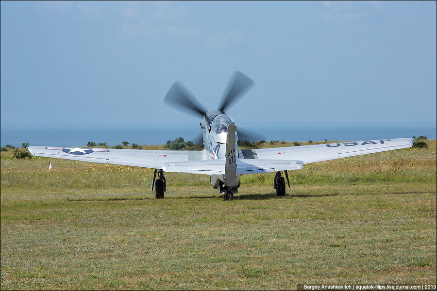 Mustang P-51