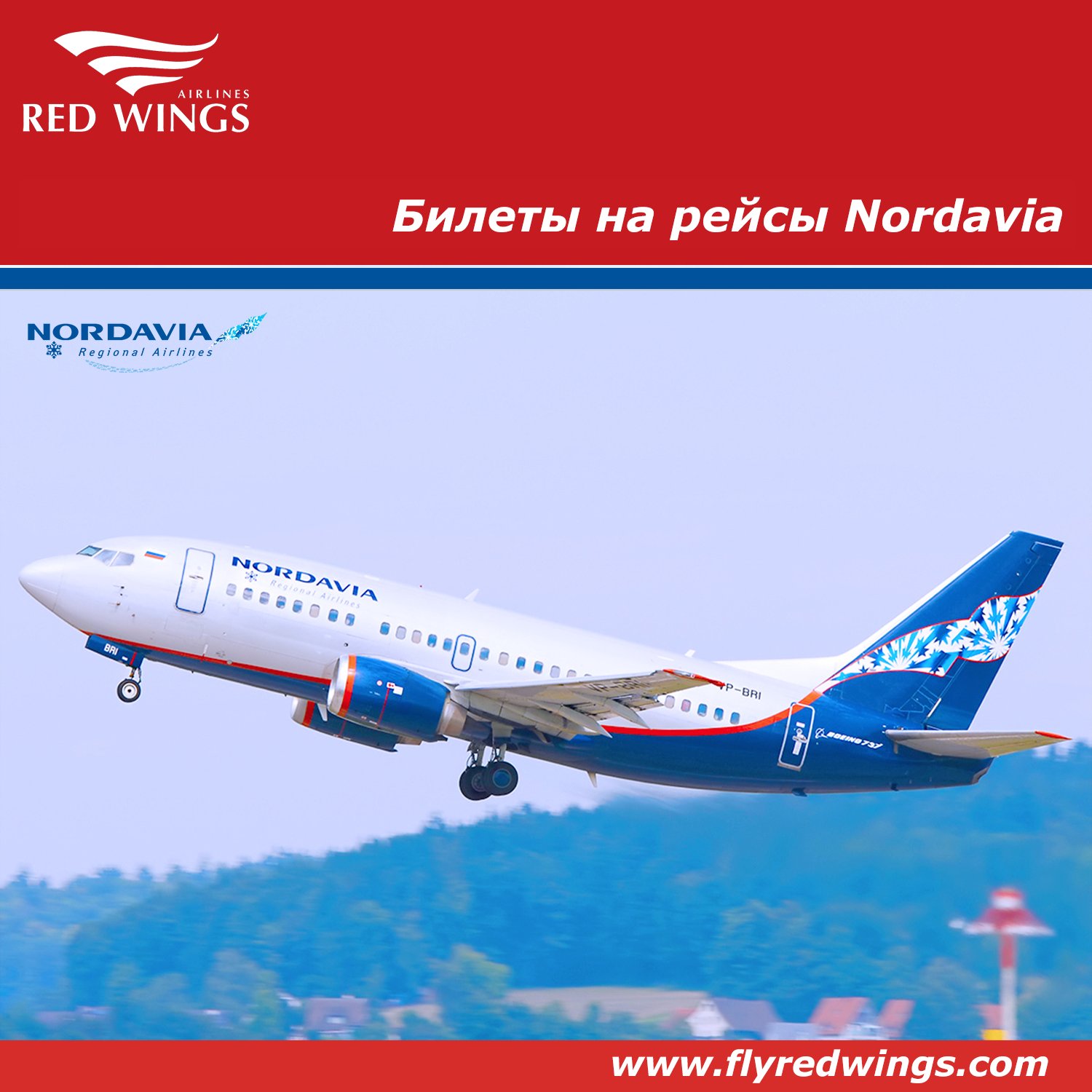 Red sea airlines авиакомпания отзывы