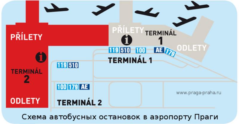 Автобусы в аэропорту
