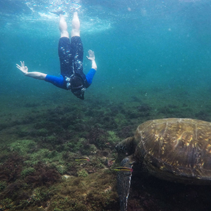 Things to do in the Galapagos Islands