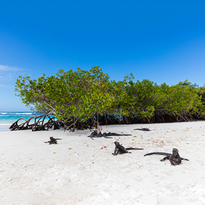Galapagos Islands map & highlights