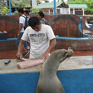 Land based Galapagos tours