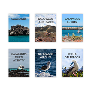All our Galapagos Islands guides